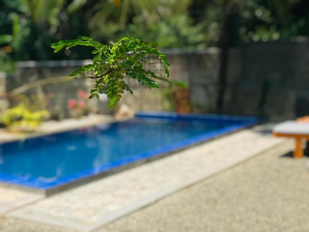 Peaceful Green Villa Unawatuna Dış mekan fotoğraf