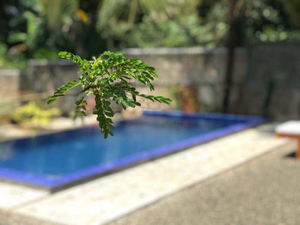 Peaceful Green Villa Unawatuna Dış mekan fotoğraf