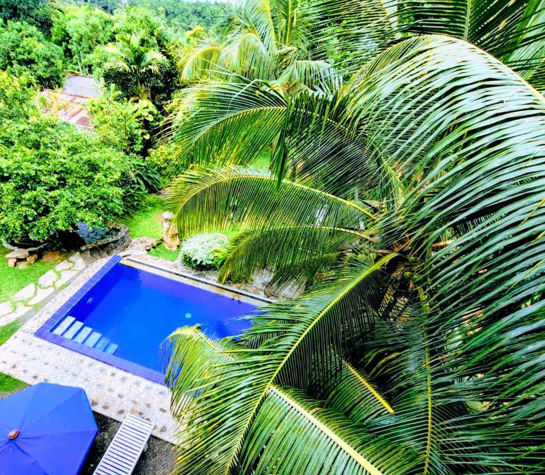 Peaceful Green Villa Unawatuna Oda fotoğraf